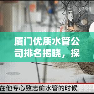 厦门优质水管公司排名揭晓，探寻专业服务的领航者