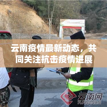 云南疫情最新动态，共同关注抗击疫情进展