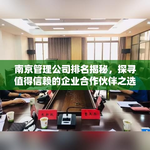 南京管理公司排名揭秘，探寻值得信赖的企业合作伙伴之选