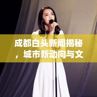 成都白头新闻揭秘，城市新动向与文化魅力闪耀登场