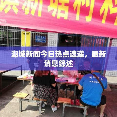 湖城新闻今日热点速递，最新消息综述