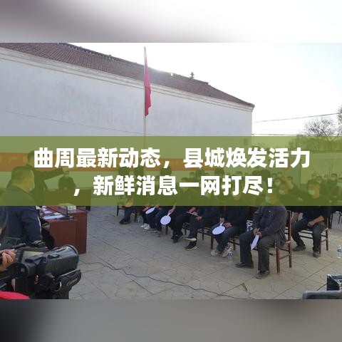 曲周最新动态，县城焕发活力，新鲜消息一网打尽！
