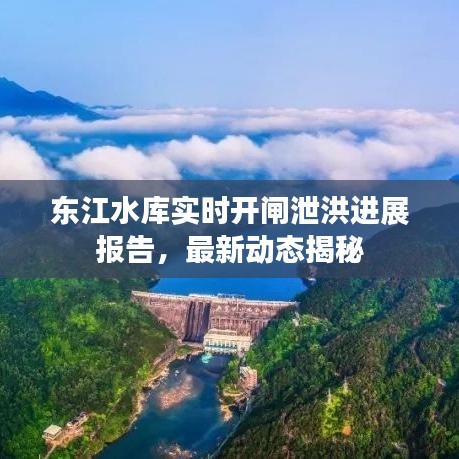 东江水库实时开闸泄洪进展报告，最新动态揭秘