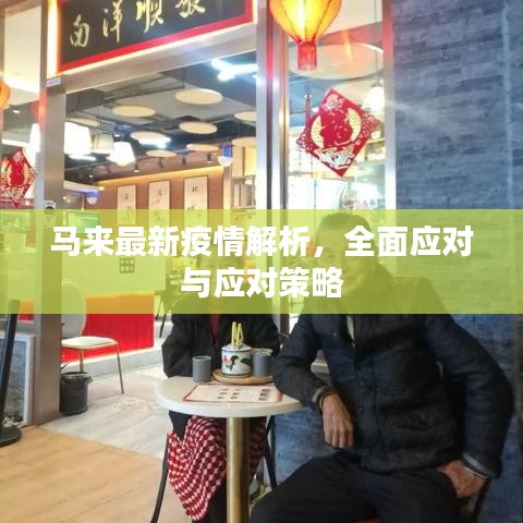马来最新疫情解析，全面应对与应对策略