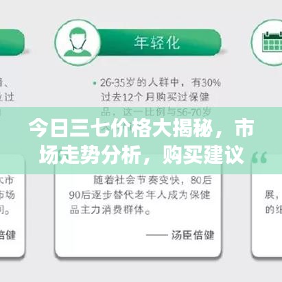 今日三七价格大揭秘，市场走势分析，购买建议一网打尽！