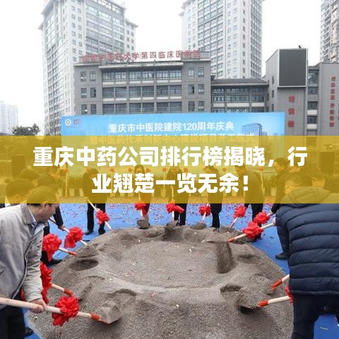 重庆中药公司排行榜揭晓，行业翘楚一览无余！
