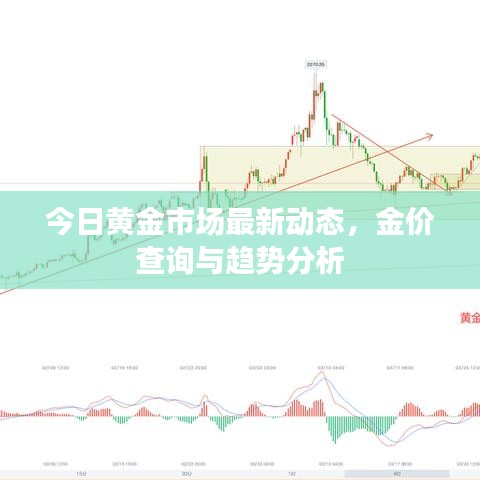 今日黄金市场最新动态，金价查询与趋势分析