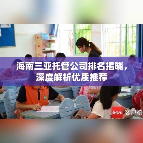 海南三亚托管公司排名揭晓，深度解析优质推荐