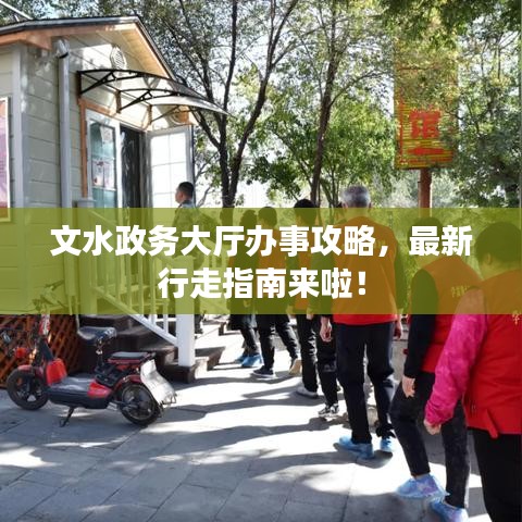 文水政务大厅办事攻略，最新行走指南来啦！