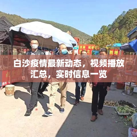 白沙疫情最新动态，视频播放汇总，实时信息一览