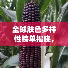 全球肤色多样性榜单揭晓，多元融合之美大放异彩！