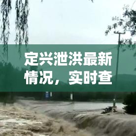 定兴泄洪最新情况，实时查询洪水防控，保障民生安全