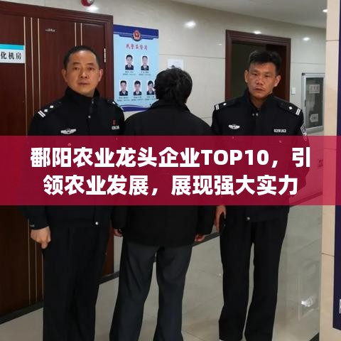 鄱阳农业龙头企业TOP10，引领农业发展，展现强大实力