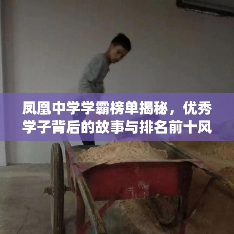 凤凰中学学霸榜单揭秘，优秀学子背后的故事与排名前十风采展示
