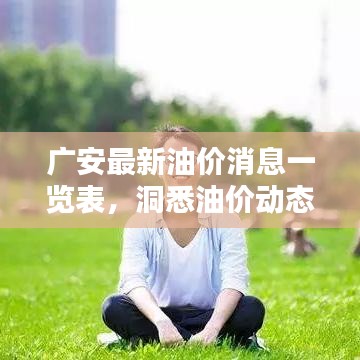 广安最新油价消息一览表，洞悉油价动态，助力财务规划决策参考