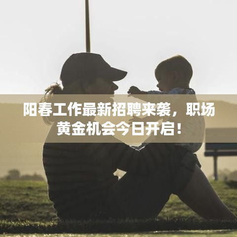 阳春工作最新招聘来袭，职场黄金机会今日开启！