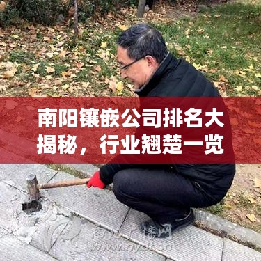 南阳镶嵌公司排名大揭秘，行业翘楚一览无余！