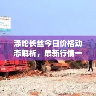 涤纶长丝今日价格动态解析，最新行情一网打尽