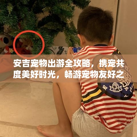 安吉宠物出游全攻略，携宠共度美好时光，畅游宠物友好之地！