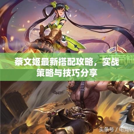 蔡文姬最新搭配攻略，实战策略与技巧分享