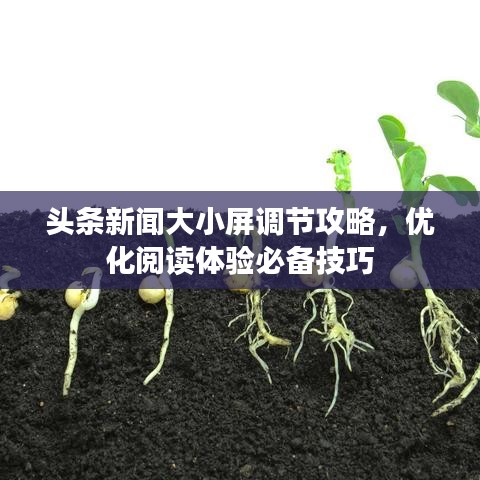 头条新闻大小屏调节攻略，优化阅读体验必备技巧