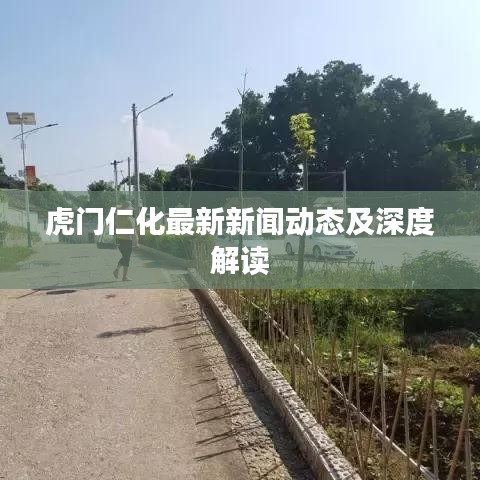 虎门仁化最新新闻动态及深度解读
