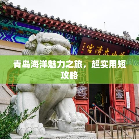 青岛海洋魅力之旅，超实用短攻略