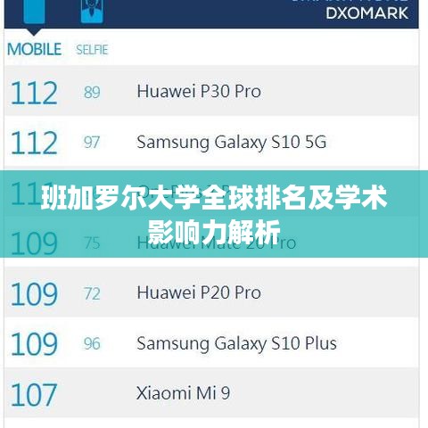 班加罗尔大学全球排名及学术影响力解析