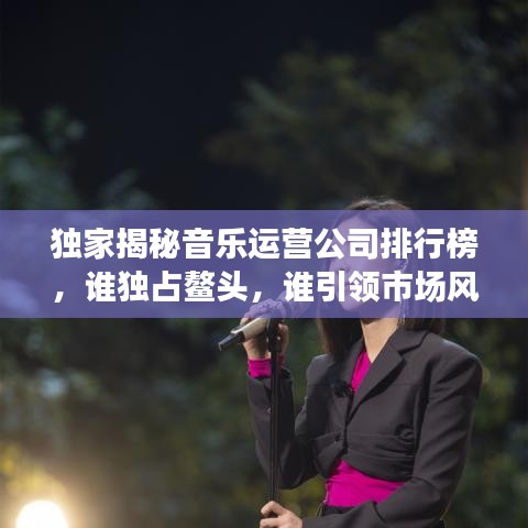 独家揭秘音乐运营公司排行榜，谁独占鳌头，谁引领市场风潮？