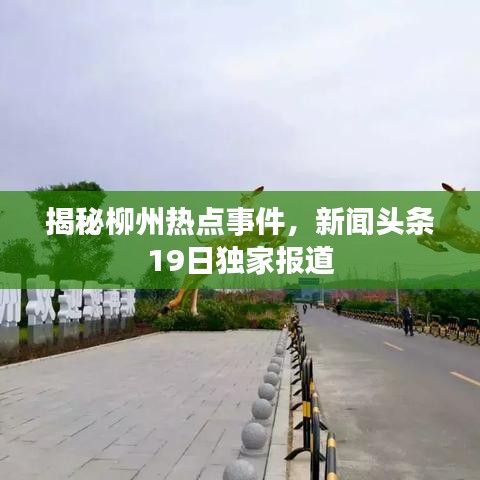 揭秘柳州热点事件，新闻头条19日独家报道