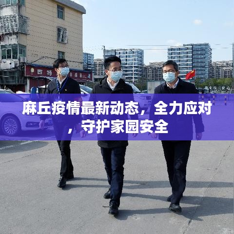 麻丘疫情最新动态，全力应对，守护家园安全