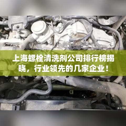上海螺栓清洗剂公司排行榜揭晓，行业领先的几家企业！