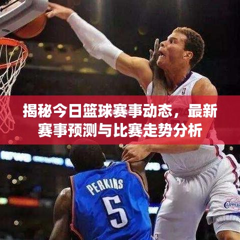 揭秘今日篮球赛事动态，最新赛事预测与比赛走势分析