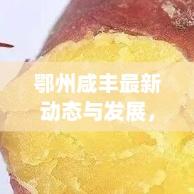 鄂州咸丰最新动态与发展，新闻头条大揭秘