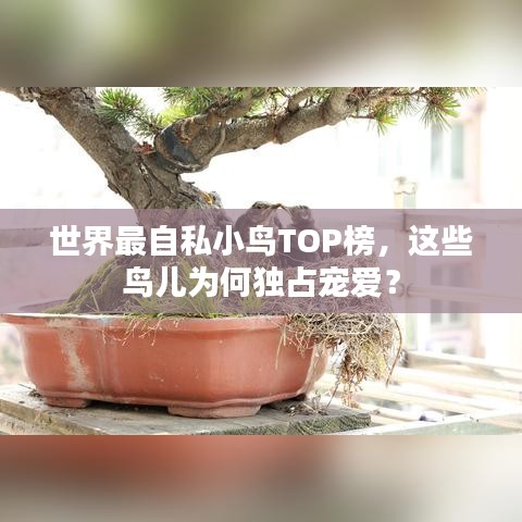 世界最自私小鸟TOP榜，这些鸟儿为何独占宠爱？
