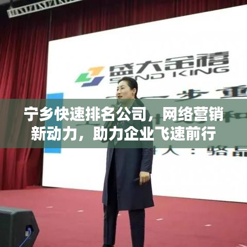 宁乡快速排名公司，网络营销新动力，助力企业飞速前行