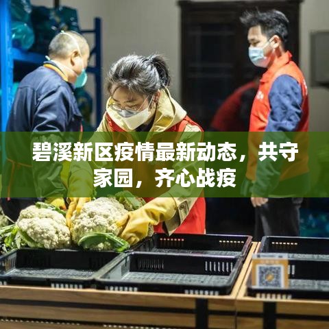 碧溪新区疫情最新动态，共守家园，齐心战疫