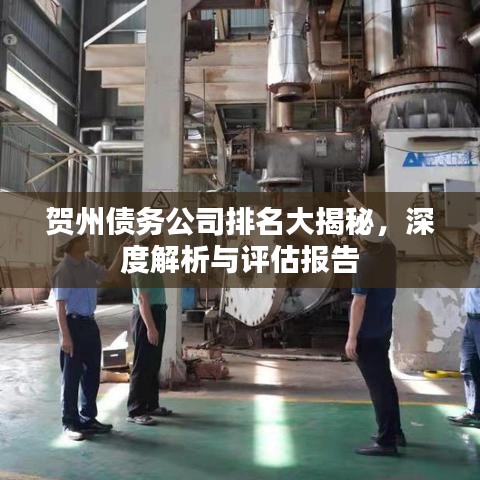 贺州债务公司排名大揭秘，深度解析与评估报告
