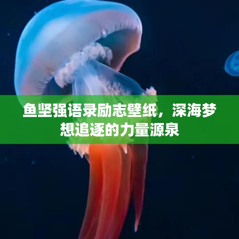 鱼坚强语录励志壁纸，深海梦想追逐的力量源泉