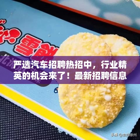 严选汽车招聘热招中，行业精英的机会来了！最新招聘信息一网打尽！