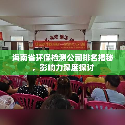海南省环保检测公司排名揭秘，影响力深度探讨