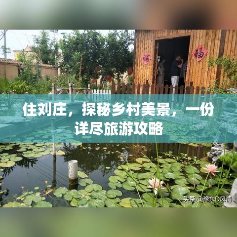 住刘庄，探秘乡村美景，一份详尽旅游攻略