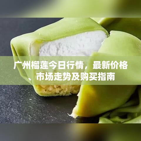 广州榴莲今日行情，最新价格、市场走势及购买指南