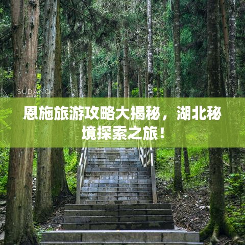 恩施旅游攻略大揭秘，湖北秘境探索之旅！
