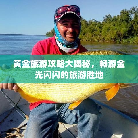 黄金旅游攻略大揭秘，畅游金光闪闪的旅游胜地
