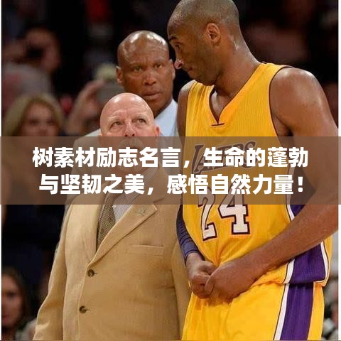 树素材励志名言，生命的蓬勃与坚韧之美，感悟自然力量！