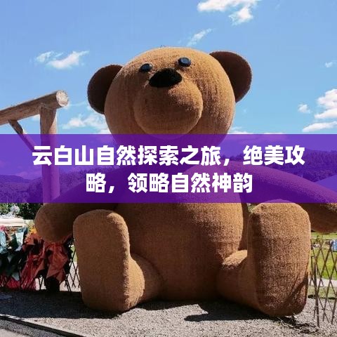 云白山自然探索之旅，绝美攻略，领略自然神韵