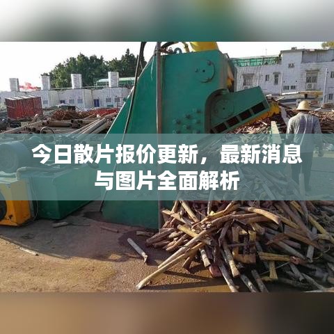 今日散片报价更新，最新消息与图片全面解析
