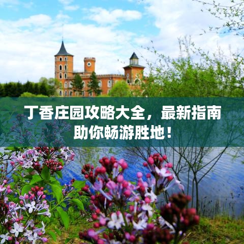 丁香庄园攻略大全，最新指南助你畅游胜地！
