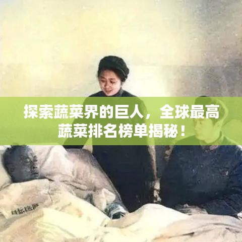 探索蔬菜界的巨人，全球最高蔬菜排名榜单揭秘！